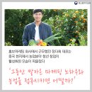 상조농장 네이버블로그