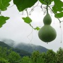 산호대로35길-2 Daum카페