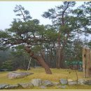 송림농원 이미지