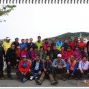 양사초교 이미지