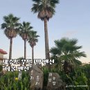다올 | 제주도여행 우도 단체 숙소 가성비 오션뷰 다올펜션 후기