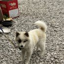 청마루기사식당 이미지