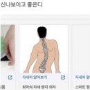 ECC 삼성홀 네이버블로그
