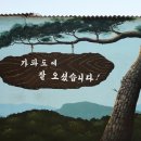 보리올레