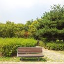 대공원광장대로 이미지