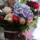 세븐일레븐안양비산본점 이미지