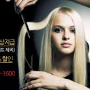 황금헤어미용재료