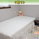 양지수선 이미지