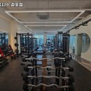 SR 휘트니스 이미지