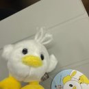 뽑기방 이미지
