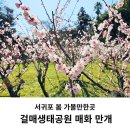 걸매축구장-2 이미지