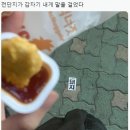 전단지가 갑자기 내게 말을 걸었다.jpg 이미지