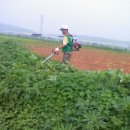 등원2리 이미지