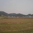 사창5리 Daum카페
