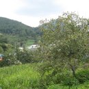 말산경로당 이미지