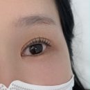 안양우체국 | 안양 단하래쉬 속눈썹펌 후기 | 자연스럽게 컬 잘 나온 곳
