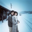 국화꽃향기 이미지