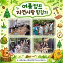 여름캠프 - ‘자연사랑 탐험기’ 이미지