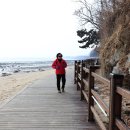 구읍뱃터 이미지