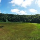 물영아리오름 이미지