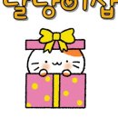 달냥이샵