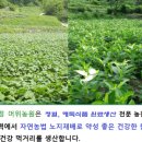 흥부골식품 - 창원시 성산구 반송로 181 | 흥부골식품