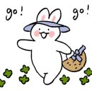 퍼플블룸 이미지