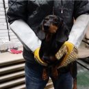 갈마2동 행정복지센터 이미지