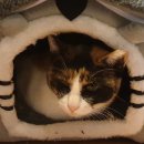 강서구-26 이미지