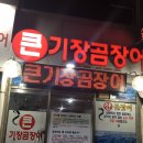 큰기장곰장어 이미지