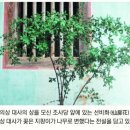 건축이야기 1 이미지