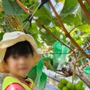 이레농장 이미지