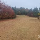 득량미니골프연습장 이미지