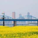 머문 Daum카페