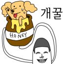 버들스크린골프