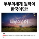 부부의 세계 원작이 한국이면? 이미지