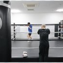 복싱메카 이미지