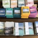 유민목장 이미지