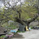 고들재로 이미지