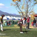 파크골프 이미지