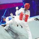 옥타곤 이미지