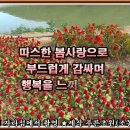 사랑나누기 이미지