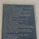 창원 주의수 묘 이미지