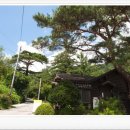 제250차일심산악회정기산행지공고경상남도거창덕유산송계계곡 이미지