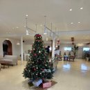 카페거기 | 경주 양남 카페거기 솔직후기