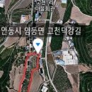 고래골농장 네이버블로그