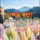 단백질 함량이 많은 음식 이미지