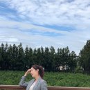 성유리 카카오 검색결과