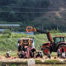 양파상회 이미지