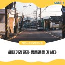 동남아빌라맨션 | 해태거리길과 동동길을 거닐다